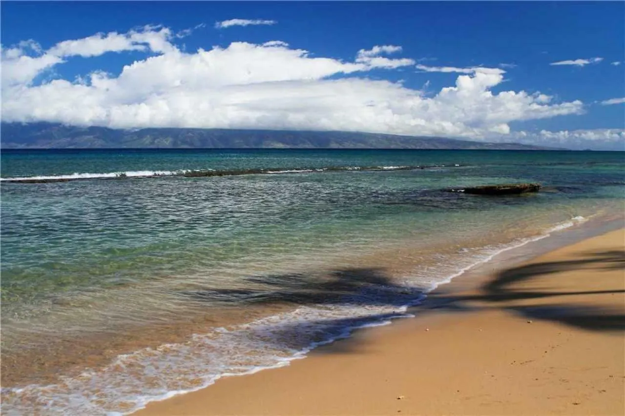 2 Bedroom Ocean Front Condo In Honokowai - Sleeps 6 - Pikake #A6 Napili-Honokowai 0*,  United States