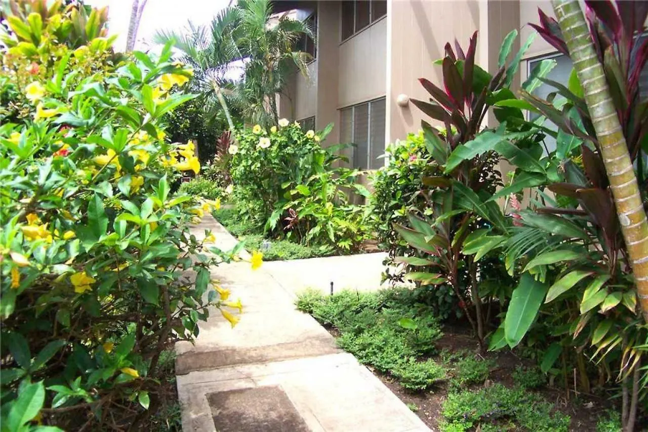 2 Bedroom Ocean Front Condo In Honokowai - Sleeps 6 - Pikake #A6 Napili-Honokowai 0*,  United States